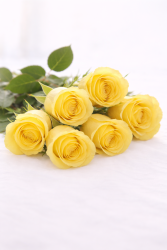 Waardig uitvaartpakket