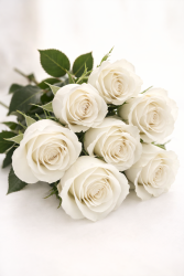 Eenvoudige uitvaart pakket